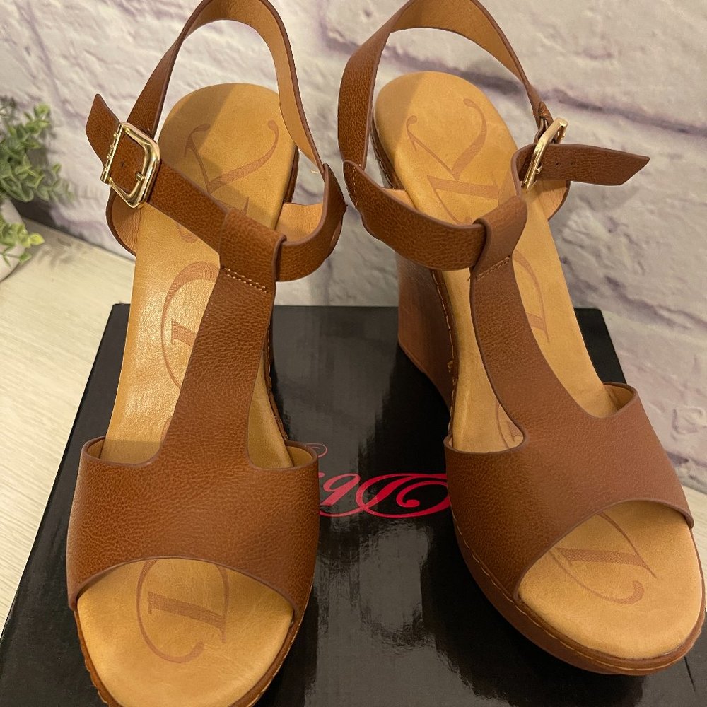 Brown Platform Wedge Heel Sandals